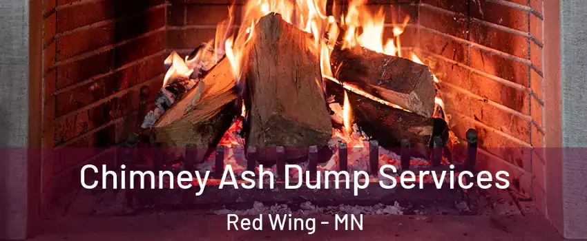  Chimney Ash Dump Services Red Wing - MN