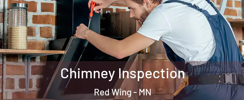  Chimney Inspection Red Wing - MN